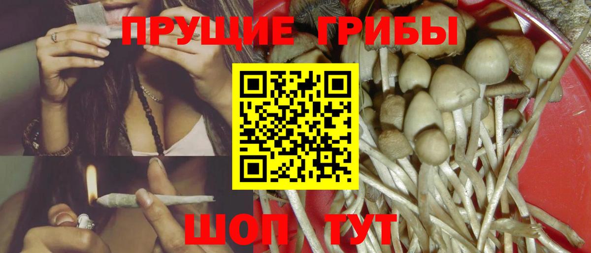Псилоцибиновые грибы MAGIC MUSHROOMS  Вход с VPN  Всеволожск  Псилоцибиновые грибы мухоморы 
